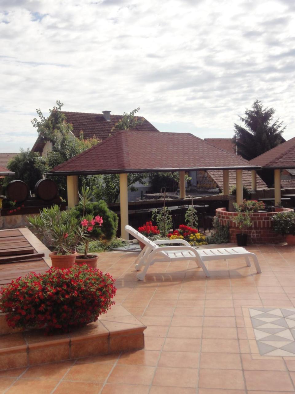 Hotel Cateski Dvorec Catez ob Savi Ngoại thất bức ảnh